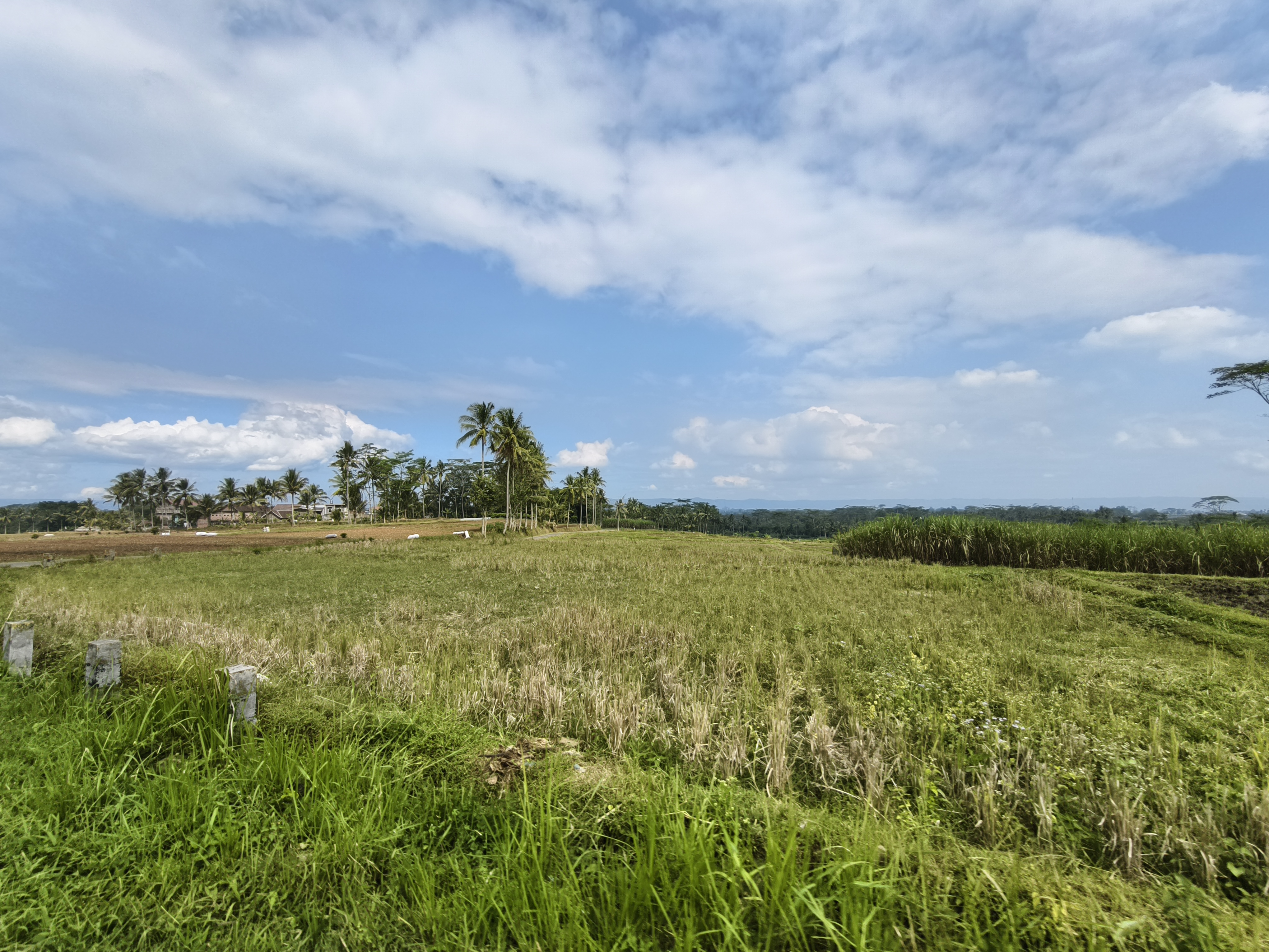 Lanskap Dusun Pandanploso